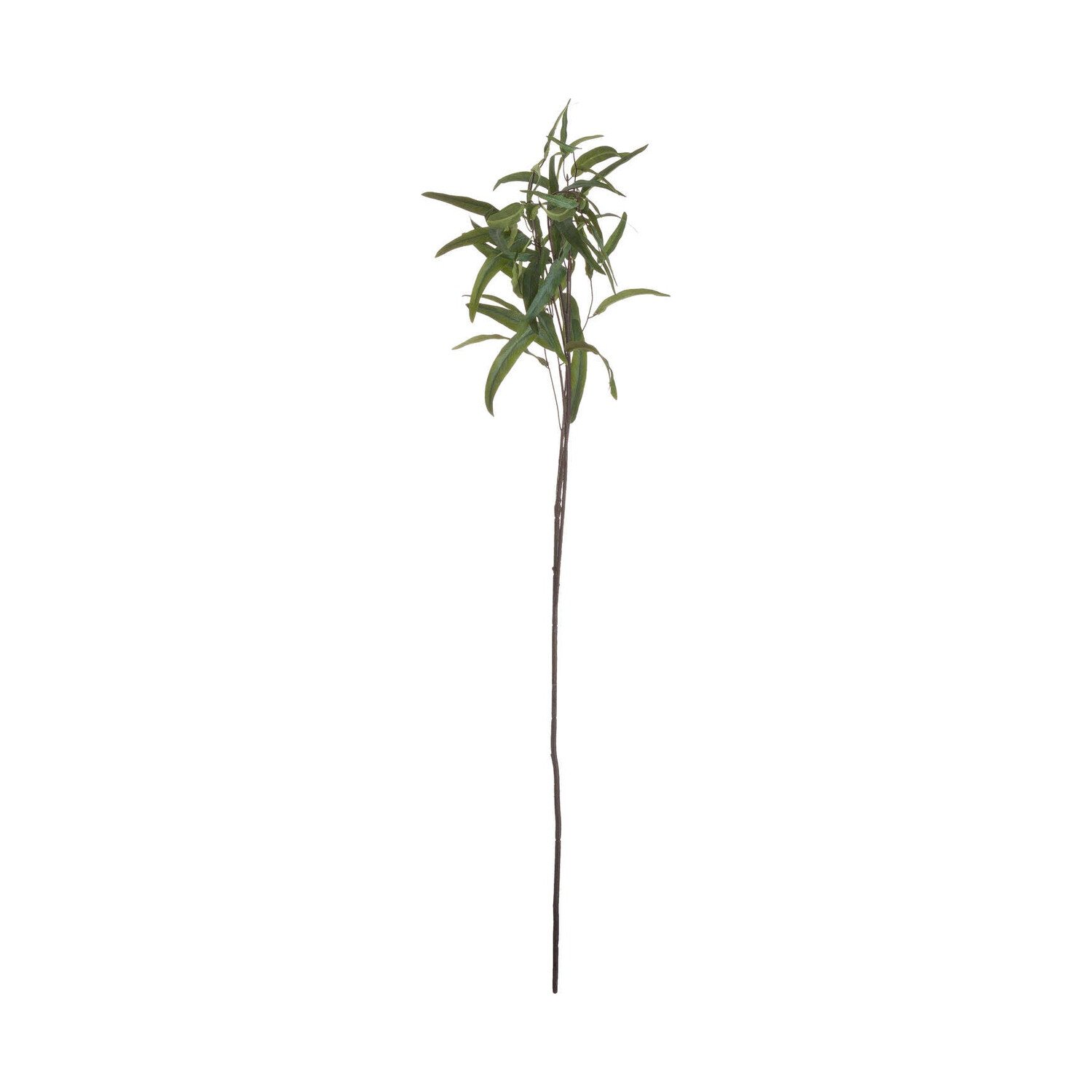 Eucalyptus Nicholii Spray Artificial Flower Stem