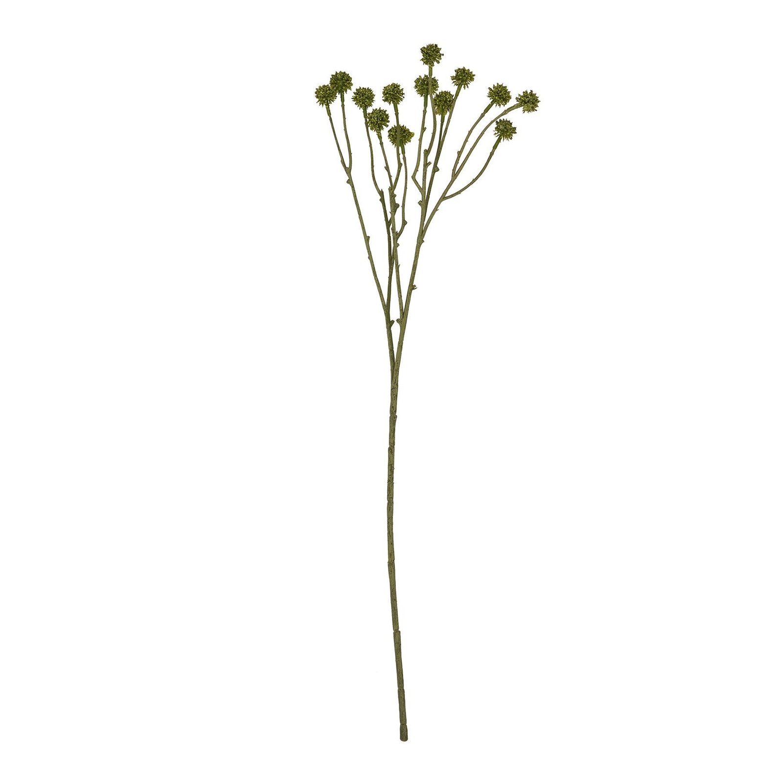 Green Craspedia Stem Artificial Flower Stem