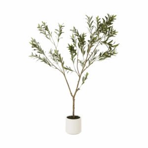 Apulia Olive Tree In White Pot 180cm Artificial Flower Stem