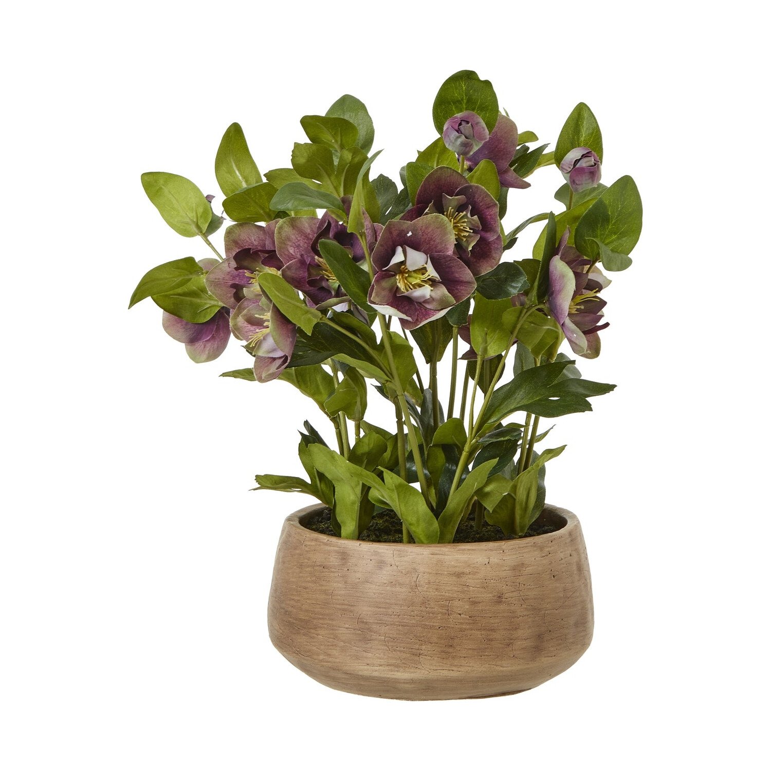 Deep Plum Hellebore Plant In Taupe Pot Artificial Flower Stem