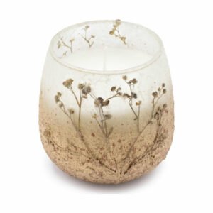 Wildlight Woods glass jar candle