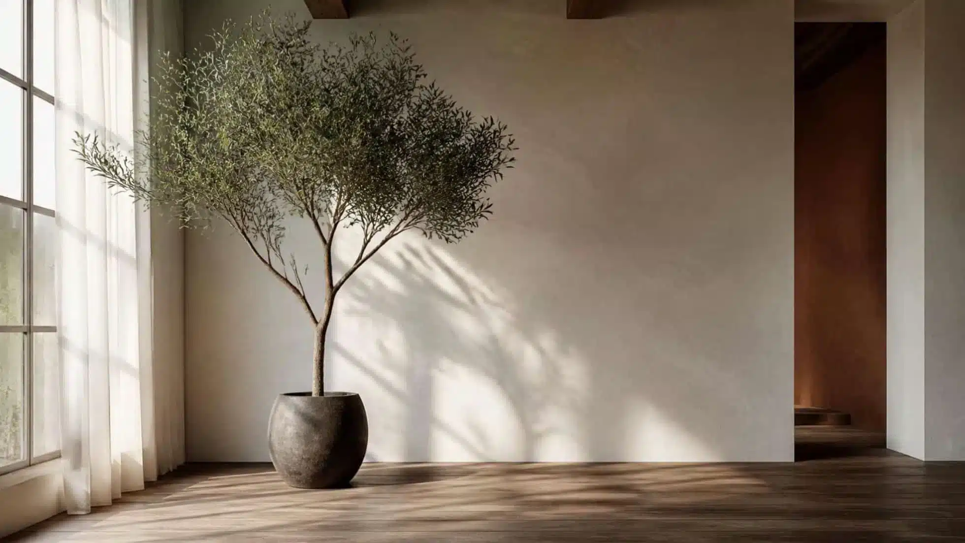 Tall indoor tree positioned beside a bright window with filtered natural light